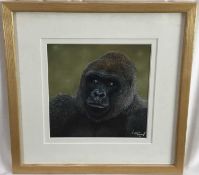 Natalie Mascall (contemporary) pastel, Gorilla