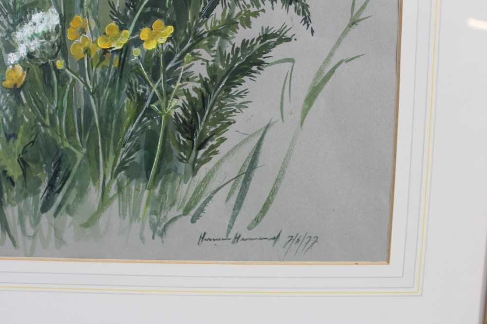 1970s English School watercolour and gouache - Wild Flowers, signed and dated '77, 47cm x 34cm, in g - Image 3 of 7