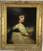 19th century English School oil on canvas - portrait of a little girl, 42cm x 52cm in gilt frame