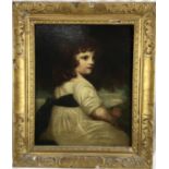 19th century English School oil on canvas - portrait of a little girl, 42cm x 52cm in gilt frame