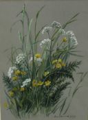 1970s English School watercolour and gouache - Wild Flowers, signed and dated '77, 47cm x 34cm, in g