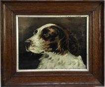 English School 19th century, oil on canvas, A study of a spaniel's head, initialled and dated '87, i