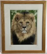Natalie Mascall (contemporary) pastel portrait of a Lion.