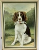 E R Batstone, oil on canvas board - A happy Spaniel, signed, in painted frame. 34 x 24cm