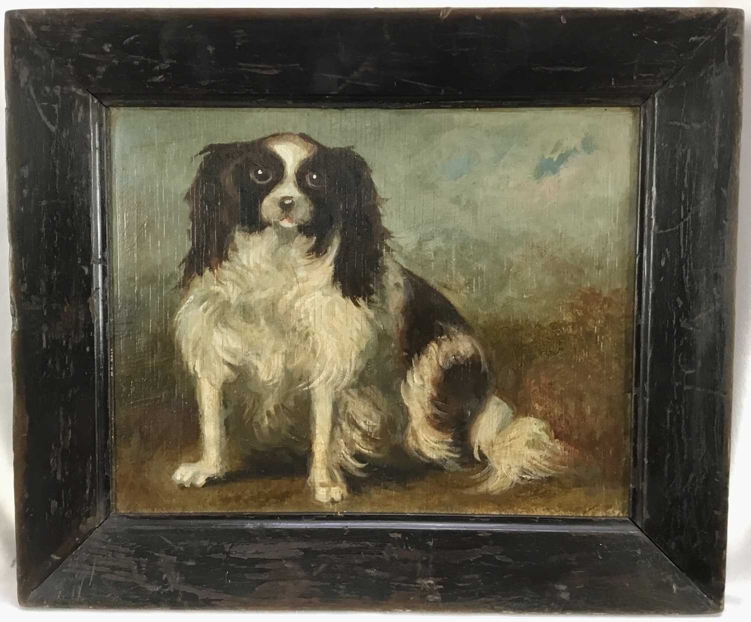 English School, oil on panel - portrait of a seated spaniel, in ebonised frame