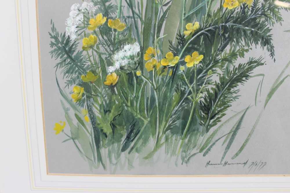 1970s English School watercolour and gouache - Wild Flowers, signed and dated '77, 47cm x 34cm, in g - Image 4 of 7
