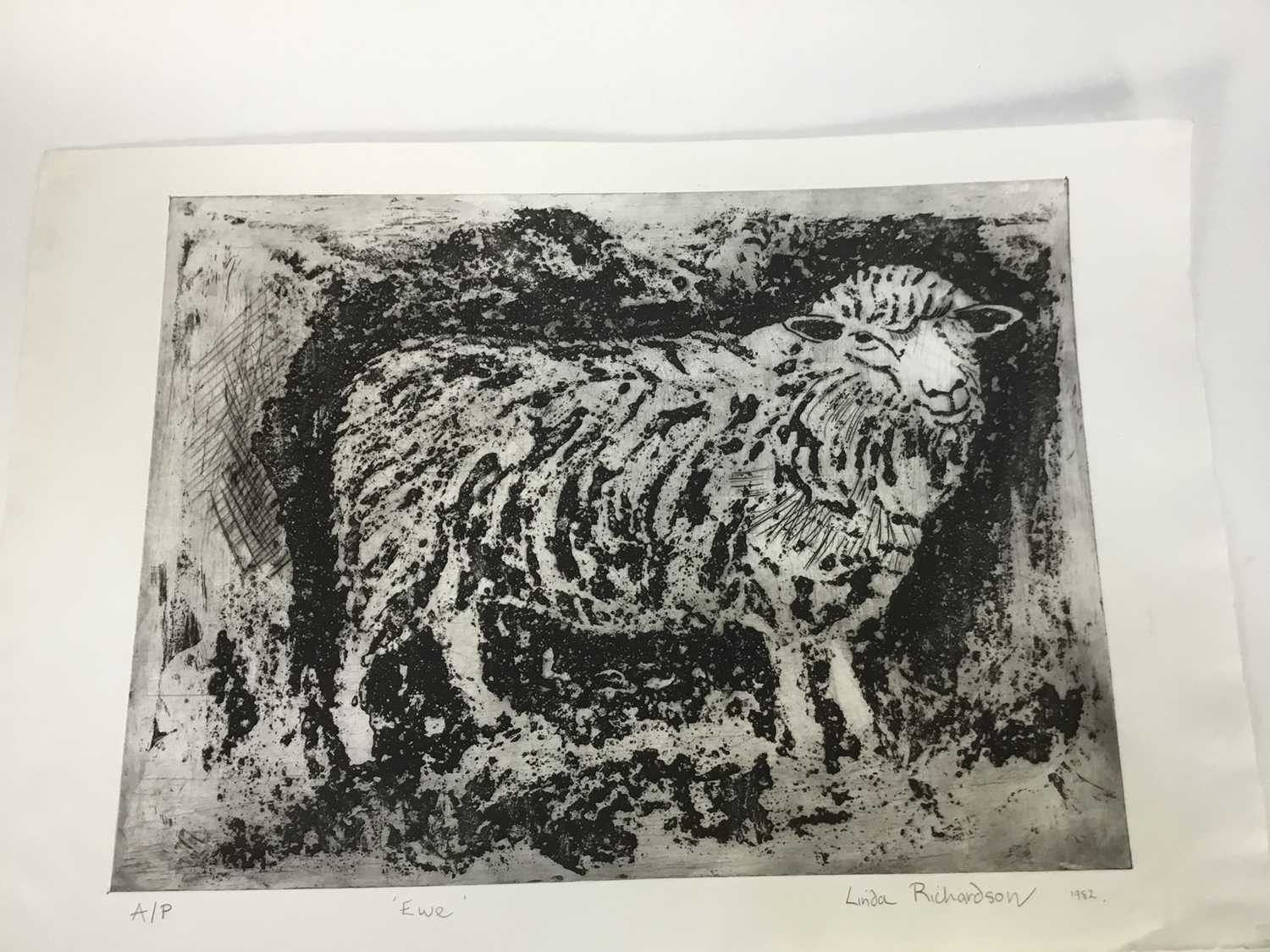 Linda Richardson (Contemporary) nine signed prints - 'Fish', A/P, 43.5cm x 32cm, 'Ewe', A/P, 43cm x - Image 2 of 8