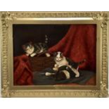 Gaborg Kittinger, oil on panel - Kittens at play, signed, 30 x 40cm, in gilt frame