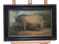 English School, oil on panel - A Prize Pig, 17cm x 28.5cm, in Hogarth frame