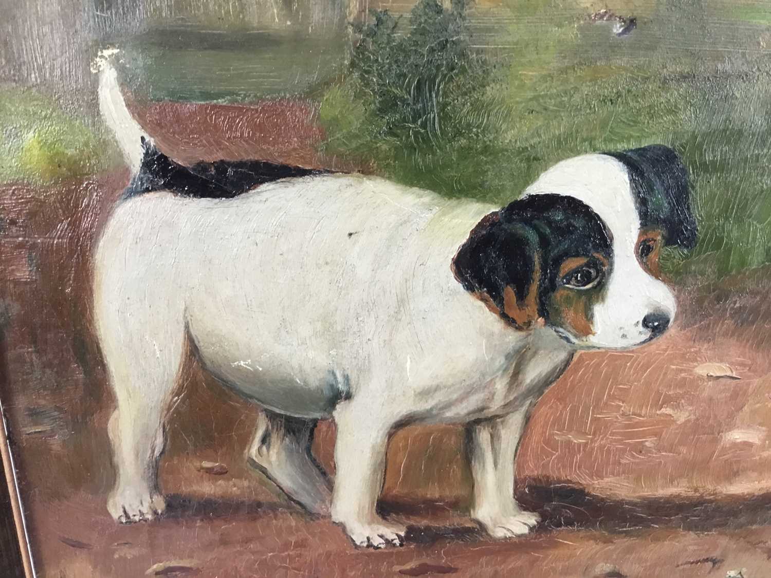 English school oil on canvas - a puppy and kittens, signed and dated 'May Egdell, 1912' - Image 4 of 6