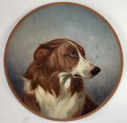 Colin Graeme (1858 - 1910) painted cuff cstudy on earthenware plate - head of a collie dog, signed