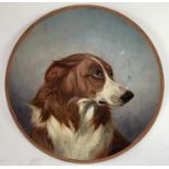 Colin Graeme (1858 - 1910) painted cuff cstudy on earthenware plate - head of a collie dog, signed