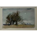 British Contemporary watercolour - East Anglian landscape, signed 'Price', image 31cm x 19cm in glaz