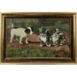 English school oil on canvas - a puppy and kittens, signed and dated 'May Egdell, 1912'