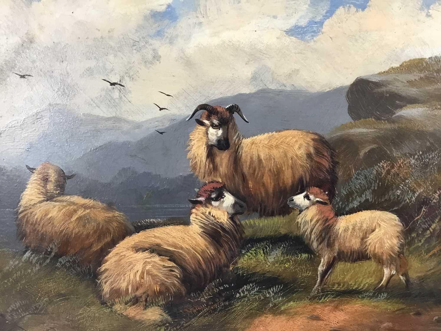 Manner of John W. Morris oil on board - sheep in a mountainous river landscape, 24cm x 30cm - Image 3 of 8