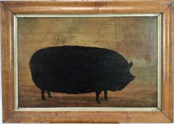 English School oil on canvas - a prize sow named 'Dunstfield Magna, the property of B. Turnbull' in