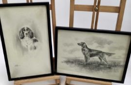 Herbert Wynn Hellings (1873-1948) pencil, three dog portraits, each signed, the largest 29 x 49cm, i