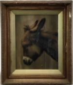 19th century English school, oil on panel, study of a donkey