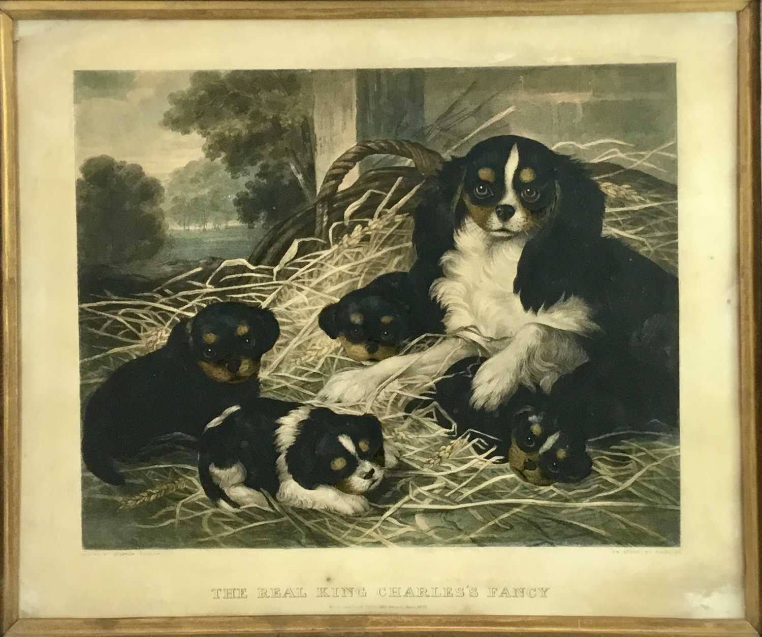 Stephen Taylor, 19th century coloured print - 'The Real King Charles's Fancy', 37cm x 45cm, in glaze - Image 2 of 6