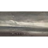 S. Lucas (19th century) watercolour - Gulls on the shore, 32cm x 17cm in glazed frame