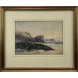 Claude Hart (19th century), waterclour - cormorants on the shore, signed, 24cm x 34cm, in glazed gil