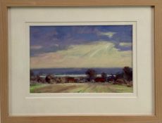 James Hewitt (b. 1934) oil on card - 'November Landscape', signed, titled verso, 28cm x 18cm, in gla
