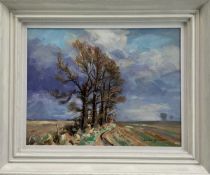 James Hewitt (b. 1934) oil on card - 'The Last of the Elms', signed, titled and inscribed verso 'fra
