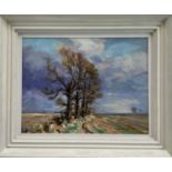 James Hewitt (b. 1934) oil on card - 'The Last of the Elms', signed, titled and inscribed verso 'fra