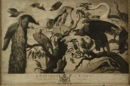 After Mario di Fiore - 18th century engraving - ‘A Concert of Birds’ at Houghton, in period glazed f
