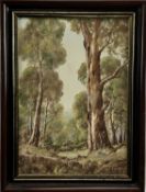 H.A.G. Heerings (Contemporary) oil on board - Australian forest, 'Sherbrook Forest', signed, 34cm x