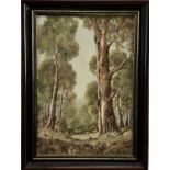 H.A.G. Heerings (Contemporary) oil on board - Australian forest, 'Sherbrook Forest', signed, 34cm x