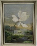 English School 20th century oil on canvas - waterlily in landscape, signed indistinctly lower right,