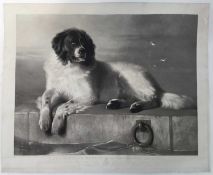 Thomas Landseer, after Edwin Landseer, mid 19th century black and white engraving - A Distinguished