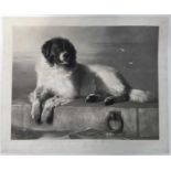 Thomas Landseer, after Edwin Landseer, mid 19th century black and white engraving - A Distinguished