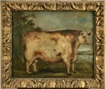 English School, oil on panel - A prize bull, 24cm x 30cm, in gilt frame