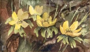Evangeline Dickson (1922-1992) watercolour - 'Messengers of Spring', signed with monogram,