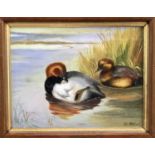 Gabriel Metsu oil on board - ducks on a lake near reeds, signed, 22cm x 17cm, framed