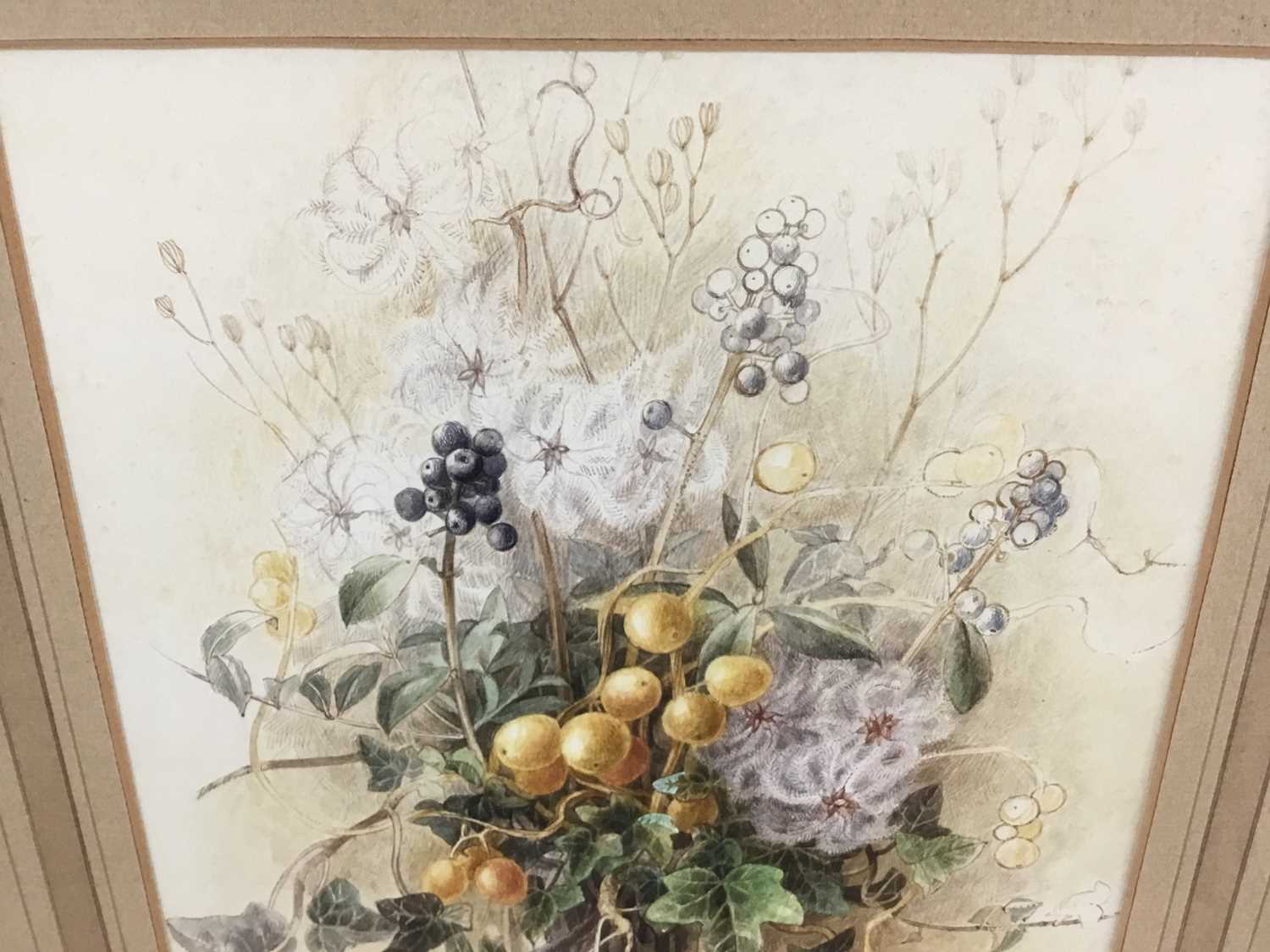 Claire Dalby, contemporary, watercolour - still life, signed, in glazed frame - Image 3 of 6