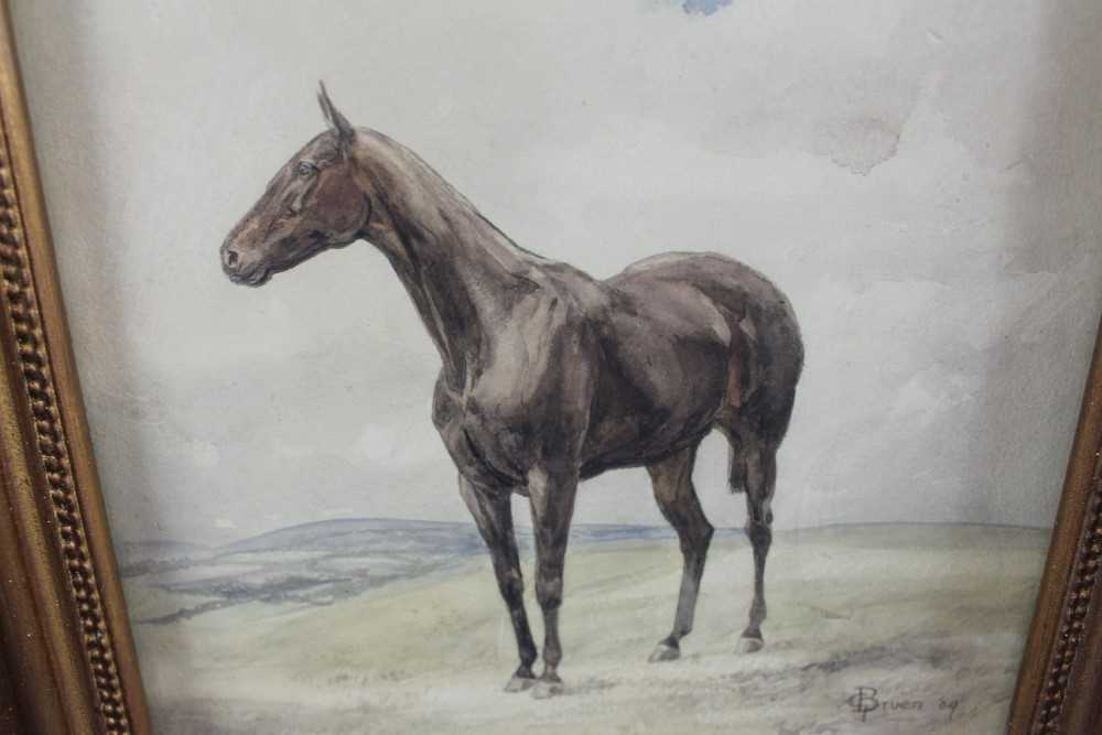 C. T. Bruen, early 20th century, watercolour, horse in a landscape, signed and dated '09, 26cm x 24c - Image 6 of 9