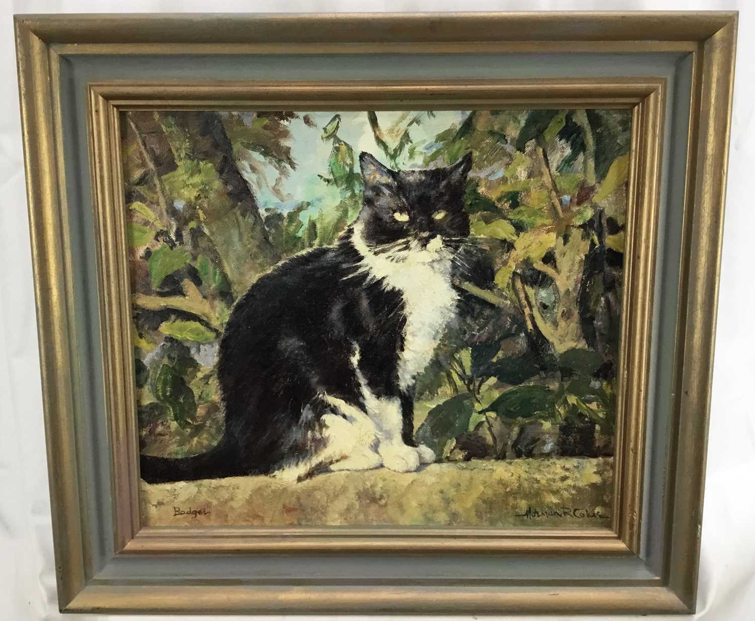 Norman Coker, contemporary, oil on board, 'Badger', signed and titled, 34 x 39cm, framed
