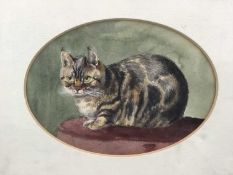 Lucy Hargreaves, watercolour painting of a tabby cat