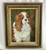 Norman Coker, contemporary, oil on board, King Charles cavalier spaniel, signed, 39 x 29cm, framed