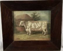 J. Box, 20th century oil on canvas laid on board - A prize bull, signed, 24cm x 20cm, framed