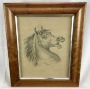 Old Master type 19th century pencil drawing of a horses head, 24cm x 19cm, in maple veneered frame