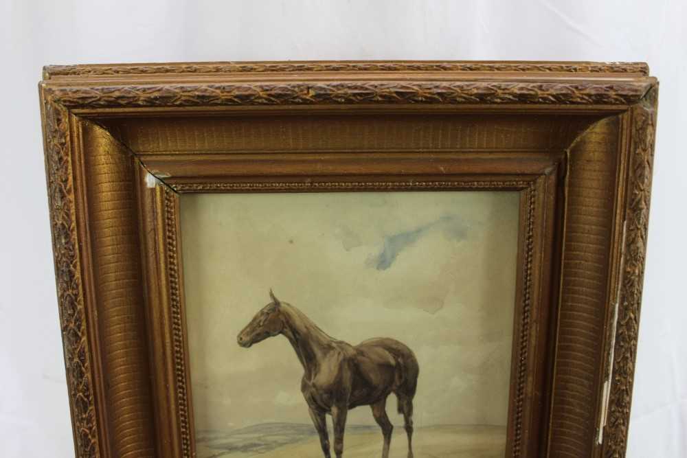 C. T. Bruen, early 20th century, watercolour, horse in a landscape, signed and dated '09, 26cm x 24c - Image 8 of 9