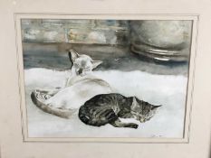 Gillian Carolan, watercolour, Siamese and a Tabby cat