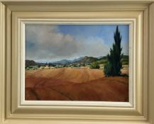 David Slater (b.1943) oil on board - ‘Cornfields, Provence’, monogrammed, 39cm x 29cm, framed