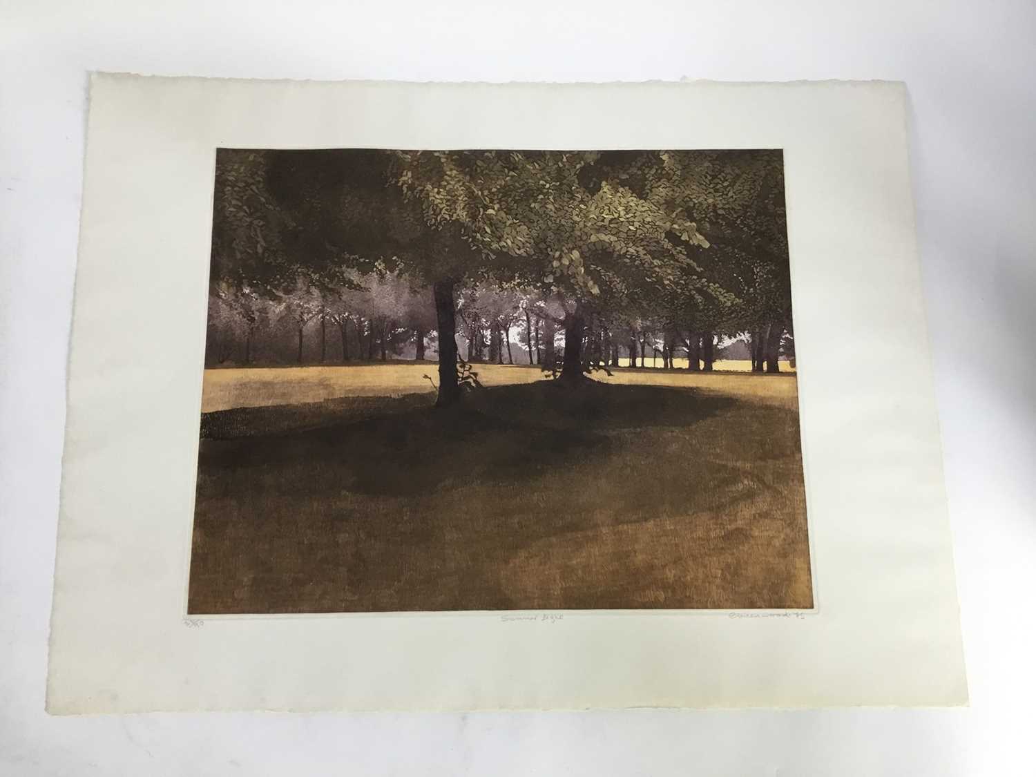 Phil Greenwood (born 1943) etching/aquatint in colours 'Summer Light' - Image 2 of 6