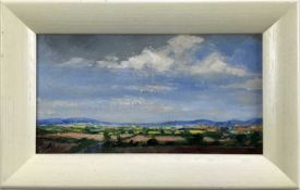David Slater (b.1943) oil on board - ‘Murcia, Spain’, 21.5cm x 11.5cm, monogrammed, framed