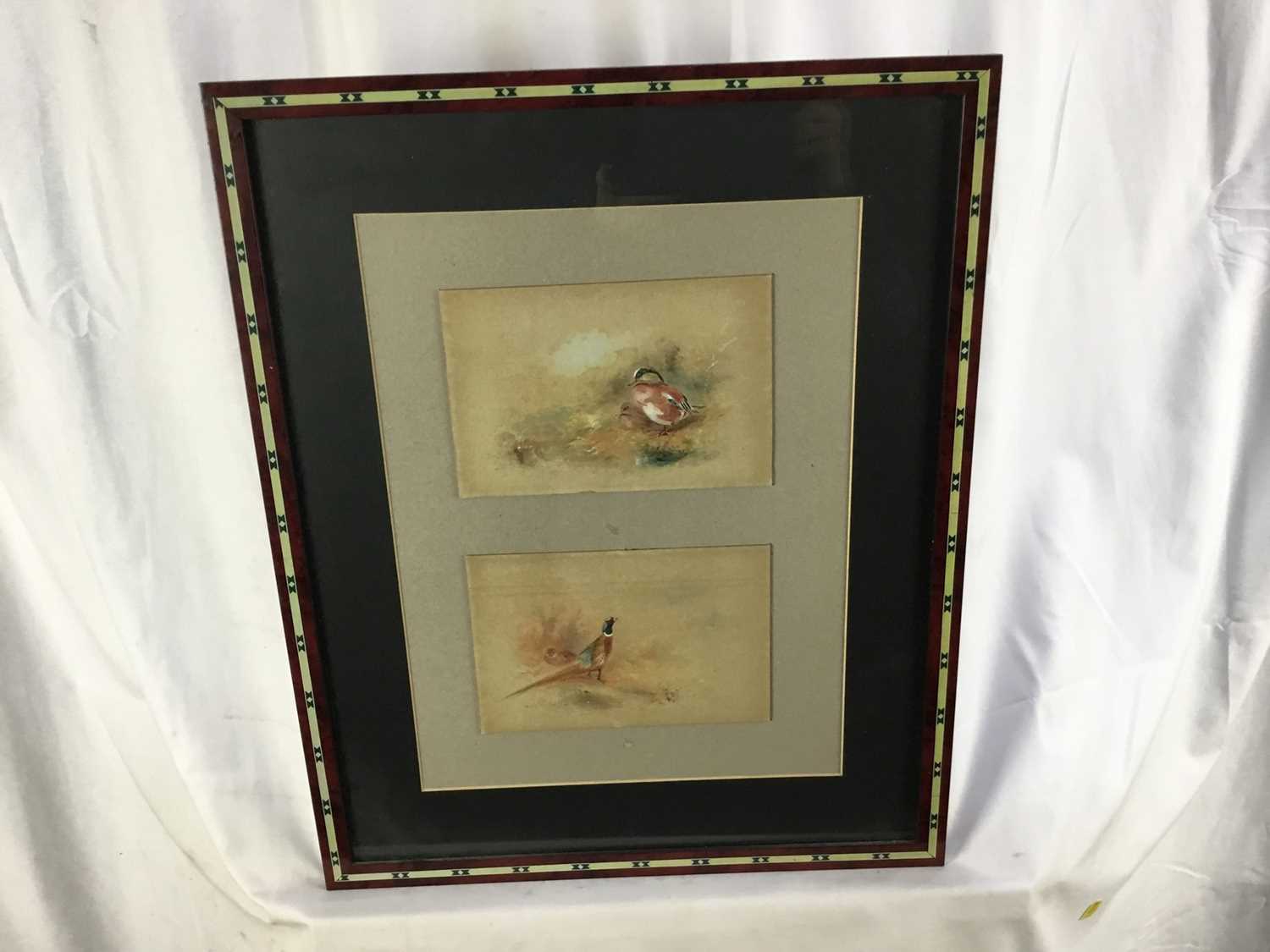 James Stinton (1870-1961) Royal Worcester Artist, two watercolours in a single frame, ducks and phea - Image 4 of 5